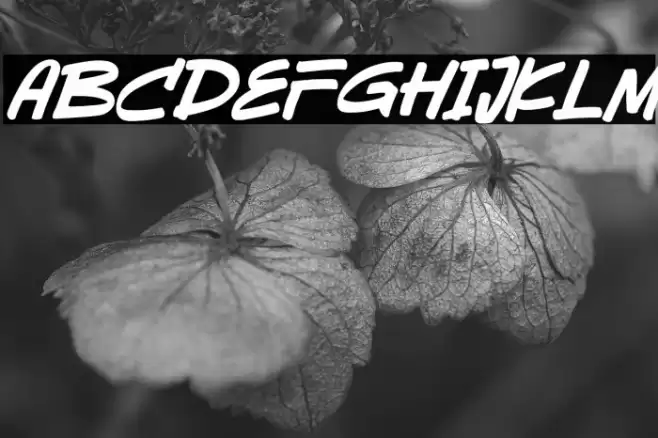 Sevarozi Italic Font examples