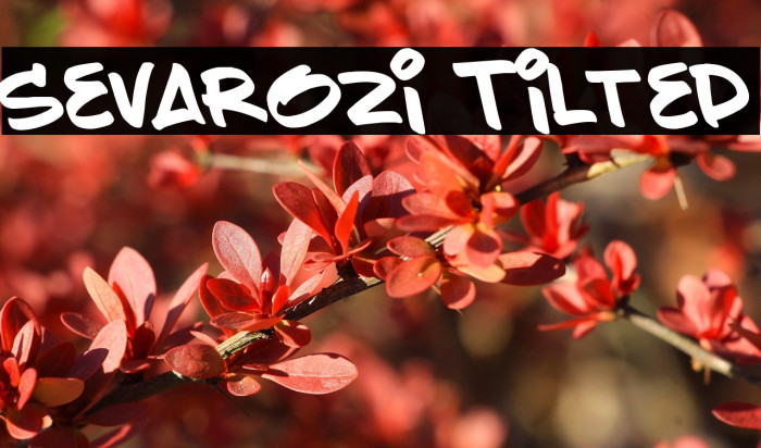 Sevarozi Tilted Example 3