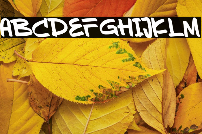 Sevarozi Tilted Example 2