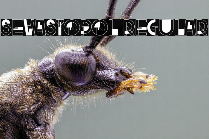 Sevastopol Regular Example 1
