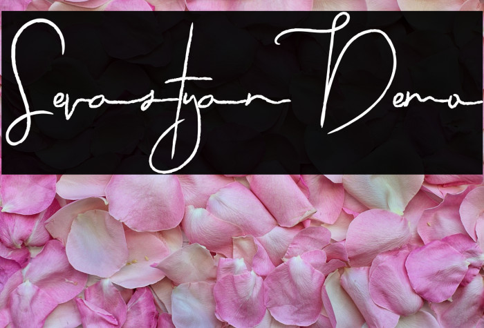 Sevastyan Demo Example 1