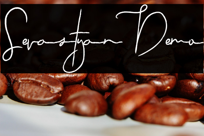 Sevastyan Demo Example 3