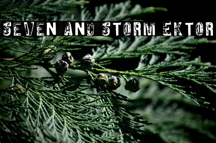 Seven And Storm Ektor Example 1