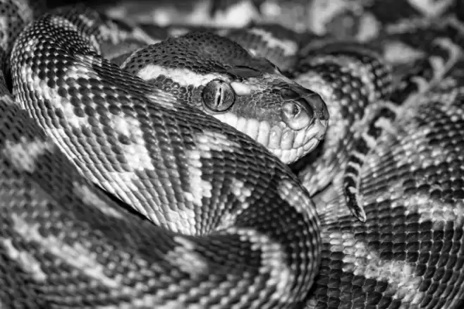 Seven And Storm Font examples