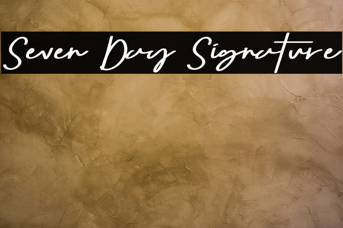 Seven Day Signature Font examples