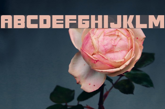 Seven Eleven Font examples