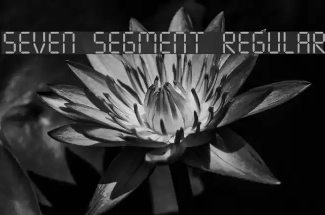 Seven Segment Regular Font examples
