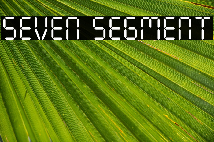 Seven Segment Example 3