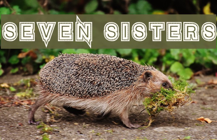 Seven Sisters Font examples