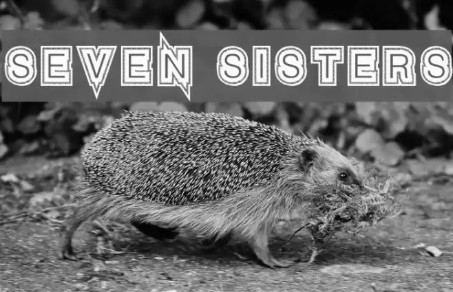 Seven Sisters Font examples