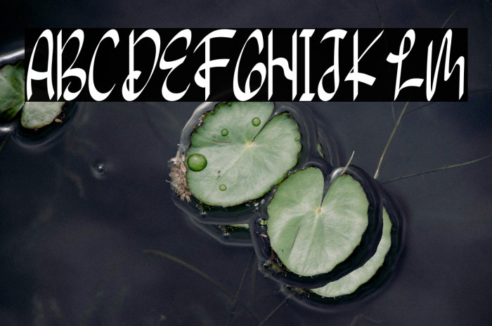 Seven Star Example 1