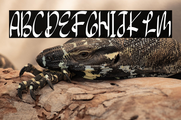 Seven Star Example 2