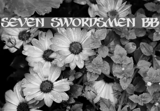Seven Swordsmen BB Font examples