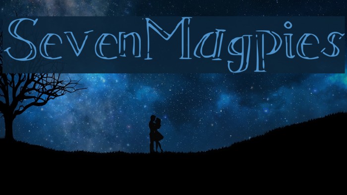 SevenMagpies Example 1