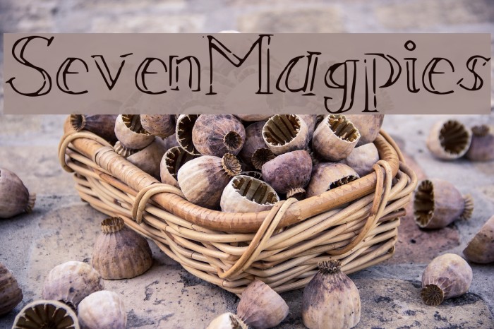 SevenMagpies Example 2