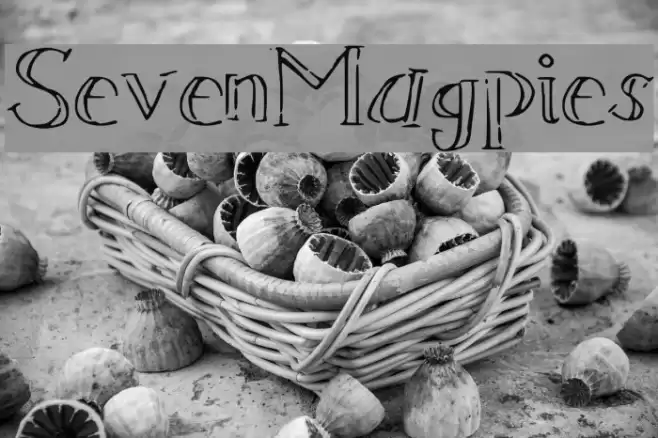 SevenMagpies Font examples