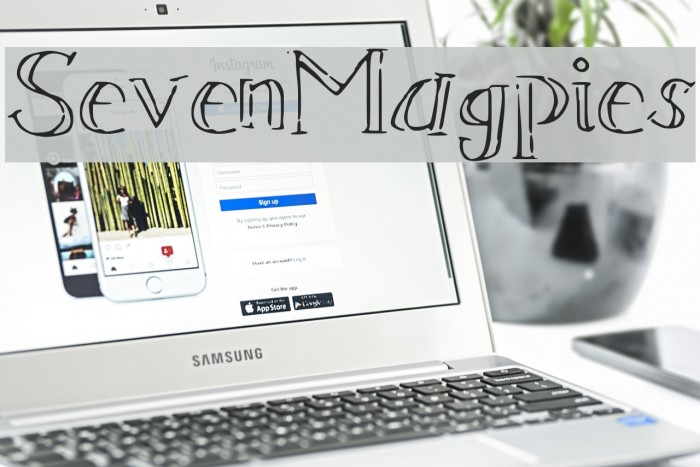 SevenMagpies Example 3