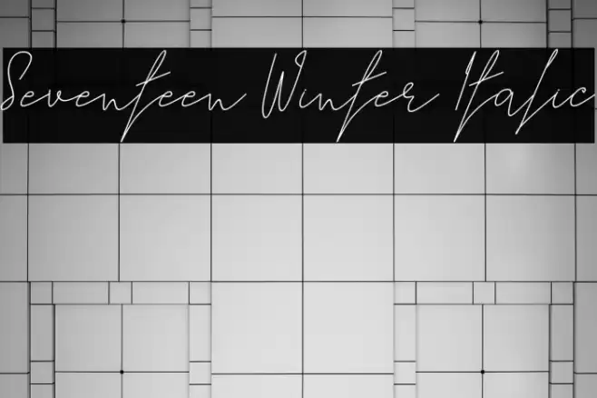 Seventeen Winter Italic Fuentes examples