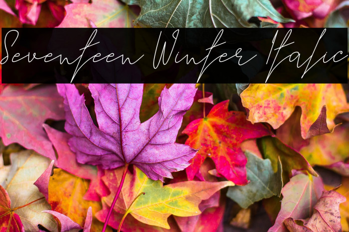 Seventeen Winter Italic फ़ॉन्ट examples