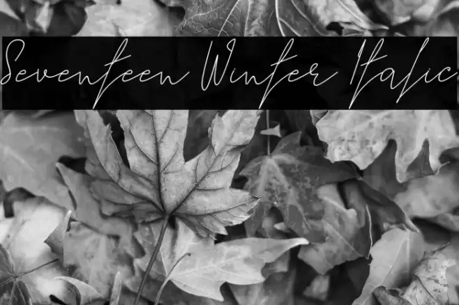 Seventeen Winter Italic Fuentes examples