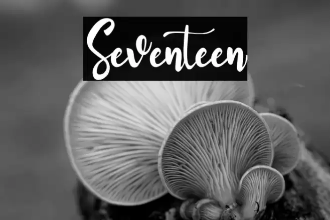 Seventeen Font examples