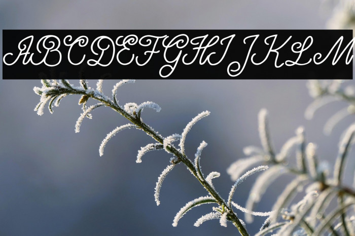 SeventyFREE Example 2