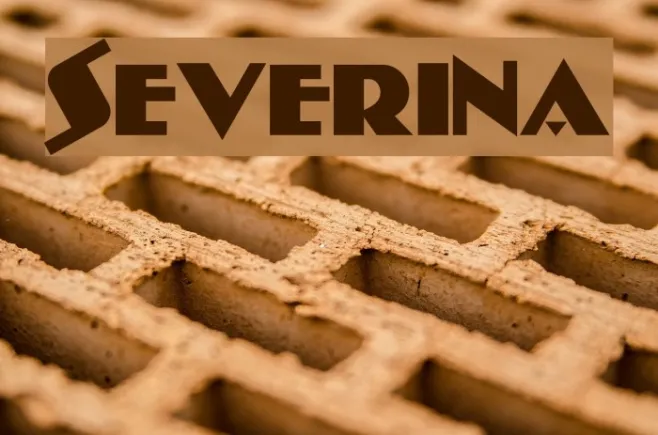 Severina Example 1
