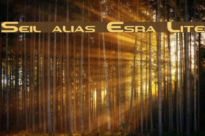 Sevil alias Esra Lite フォント examples
