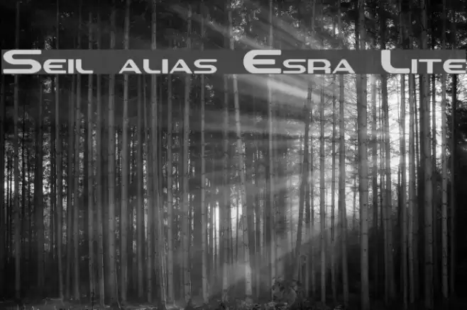 Sevil alias Esra Lite フォント examples