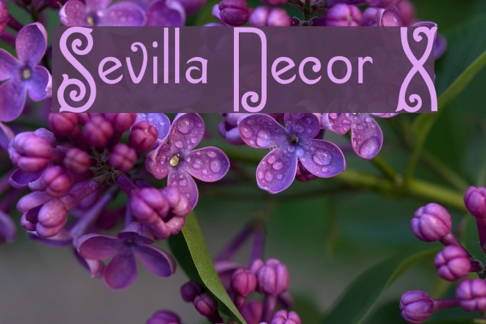 Sevilla Decor X Example 3