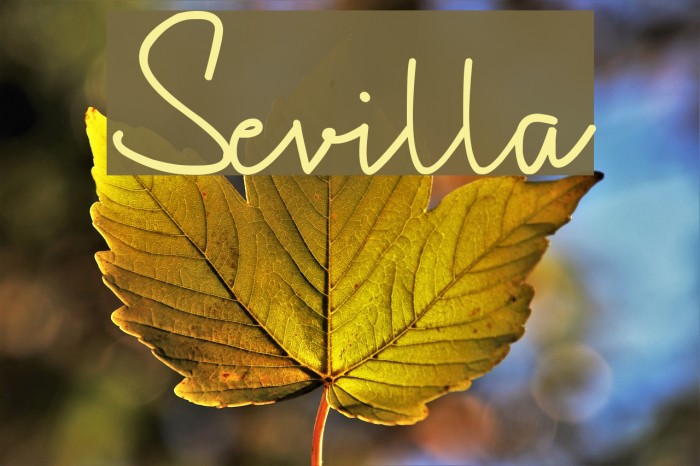 Sevilla Font examples