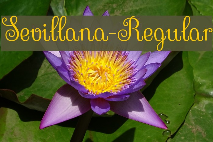 Sevillana-Regular Font examples