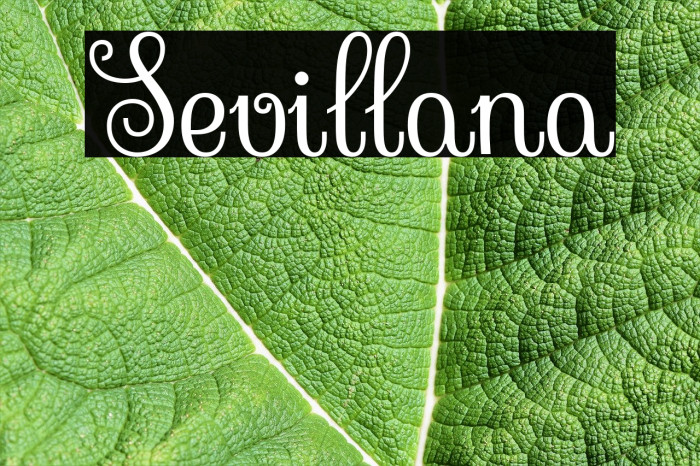 Sevillana Font examples