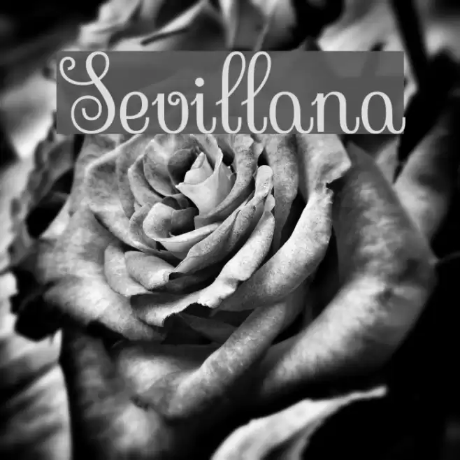 Sevillana Font examples