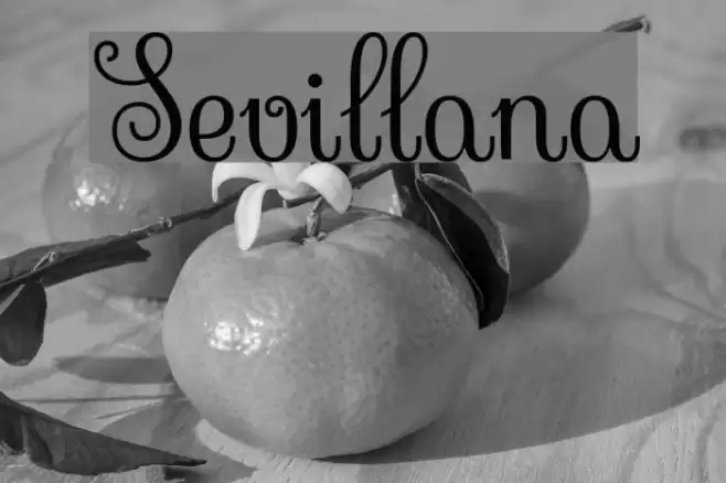 Sevillana Font examples