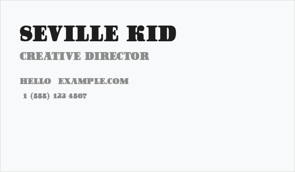 Seville Kid Business Card