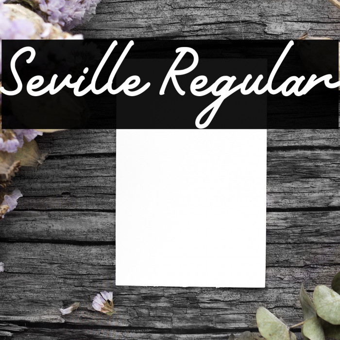 Seville Regular Шрифта examples