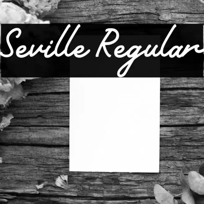 Seville Regular Font examples