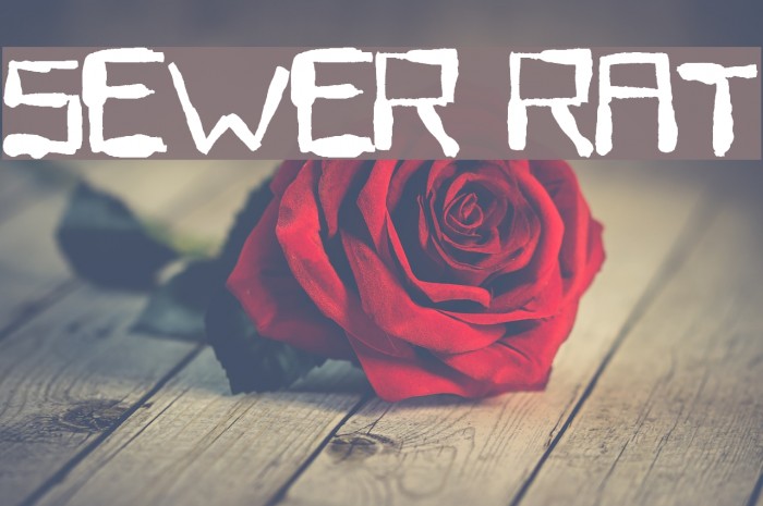 Sewer Rat Font examples