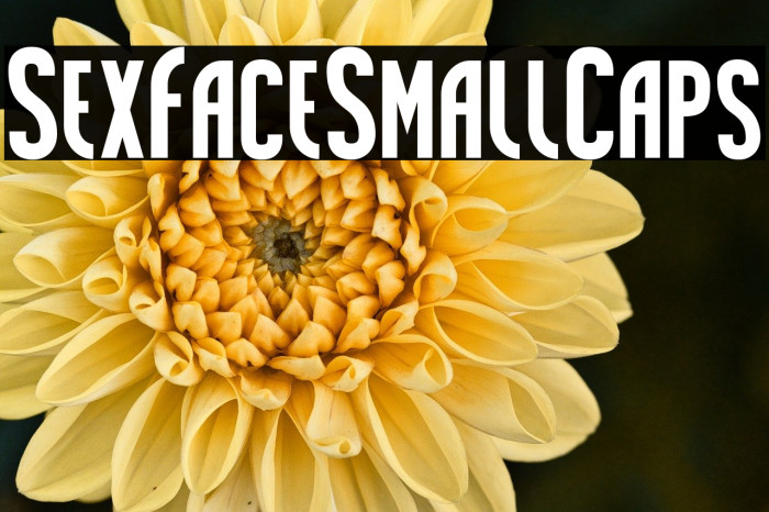 Sex Face Small Caps Example 3