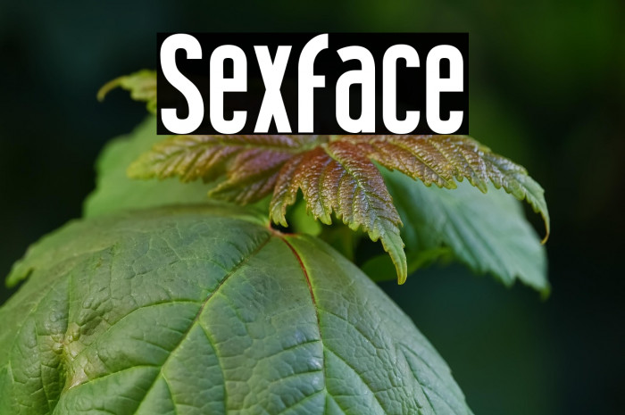 Sex Face Example 2