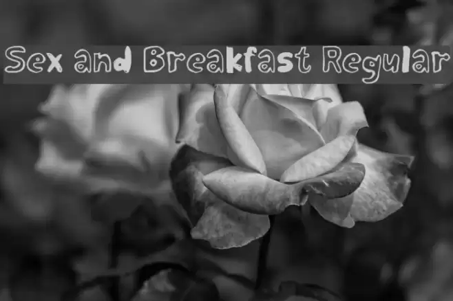 Sex and Breakfast Regular Font examples