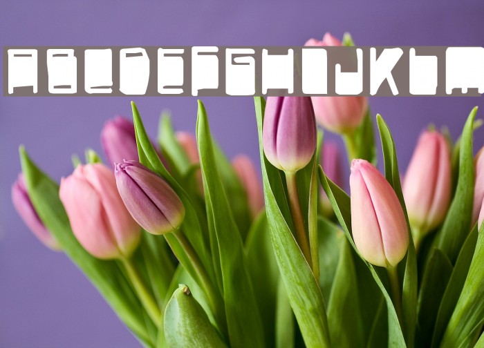 SexShop Font examples