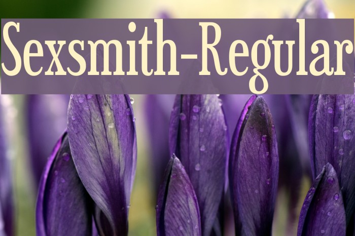 Sexsmith-Regular Font examples