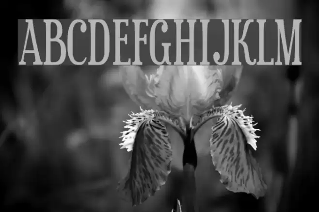 Sexsmith Font examples