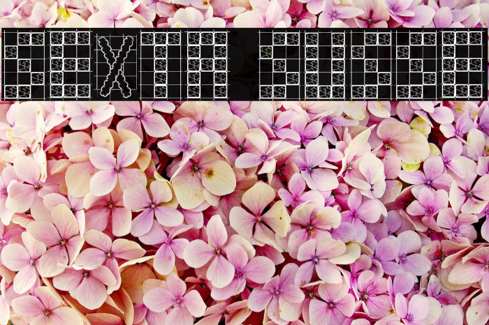 Sexta Susse Example 3