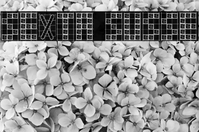 Sexta Susse Font examples