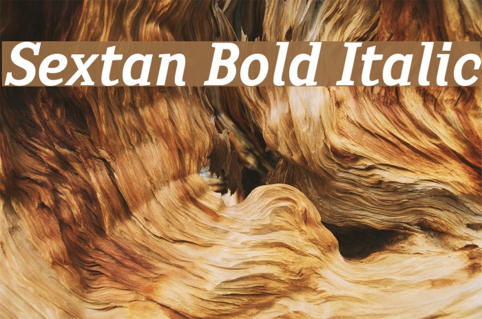 Sextan Bold Italic Font examples
