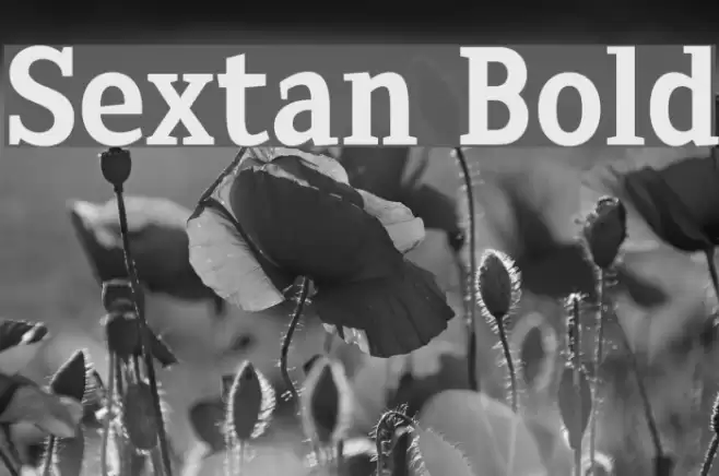 Sextan Bold Font examples