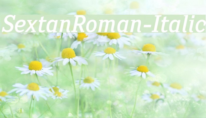 SextanRoman-Italic Font examples